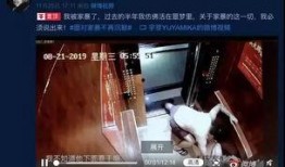 网红家庭爆料视频大全最新,揭秘幕后生活真相